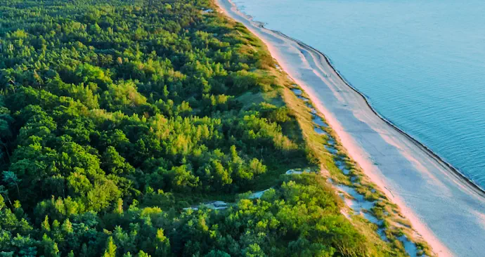 Dąbki morze olejki sosnowe dojazd